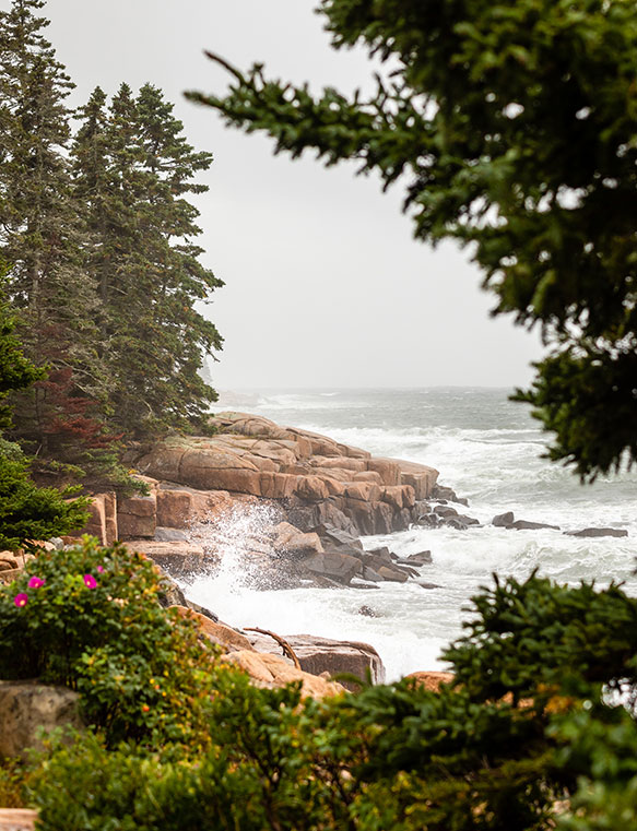 Striking views along the Schoodic National Scenic Byway